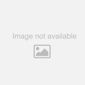 Threaded Wooden Pole - 72'' Long x 1" Thick with 5/8" Thread